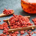 Nguyên liệu hữu cơ goji berry trái cây khô lycium berry